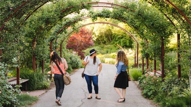 Awesome all autumn at Red Butte Garden!