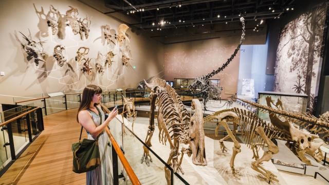 VSL_NHMU_HiRez_AustenDiamondPhotography-17-copy