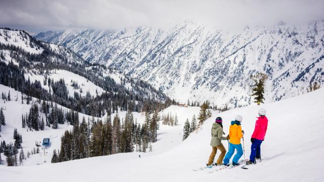 Ski Snowbird 3