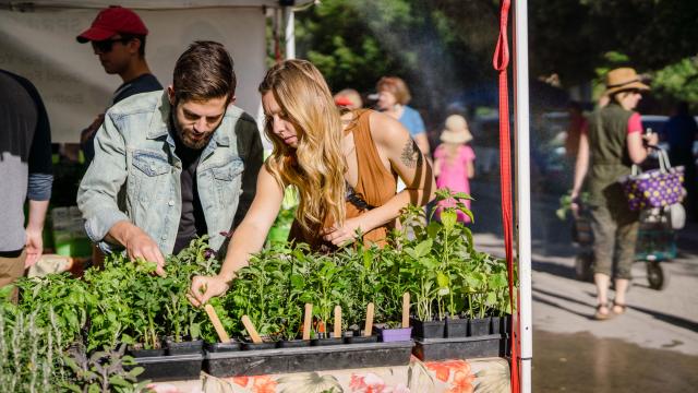 Farmers' Market