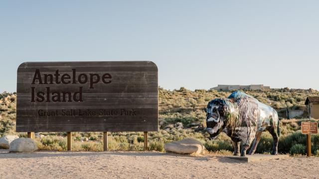 Antelope Island Bison Statue