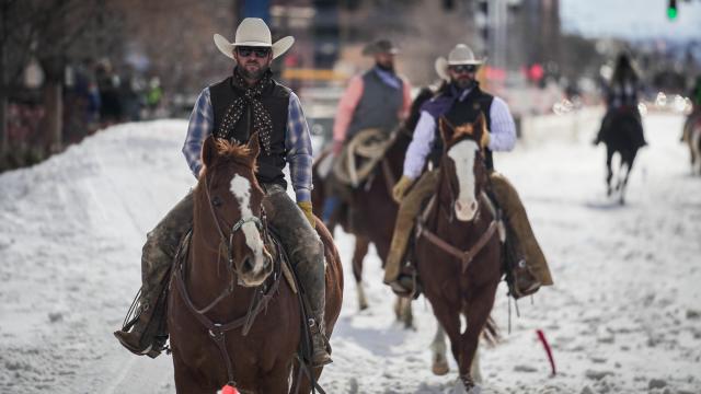 Cowboys on horses walking down the snow-covered street in Downtown Salt Lake during the Winter Roundup 2024 event.