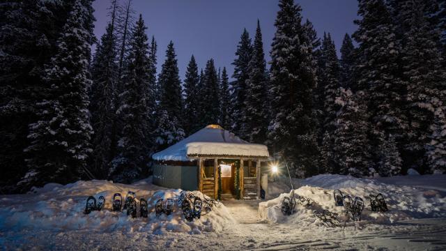 A yurt lit up by lanterns on each side of the door in the snow with large pines in the background