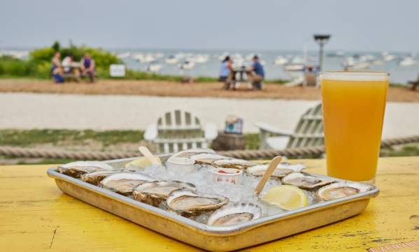 A dozen oysters and a beer from Island Creek Oysters