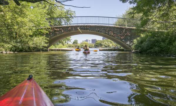 Charles River Kayaking