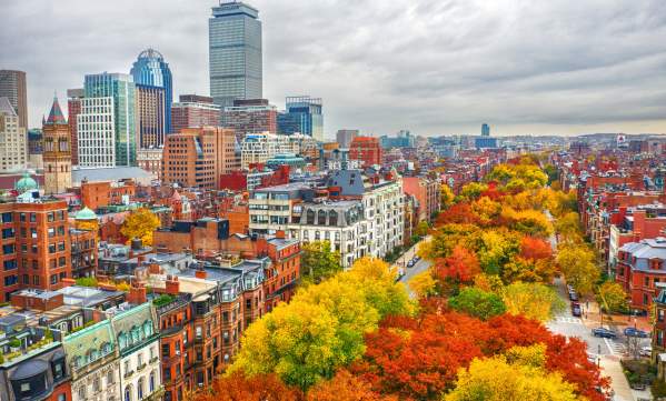 Commonwealth Ave in Fall