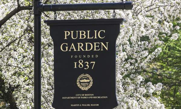 Public Garden in Spring