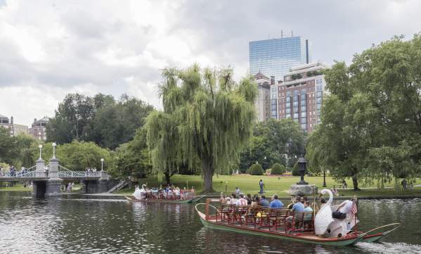 Swan Boats In Boston, MA