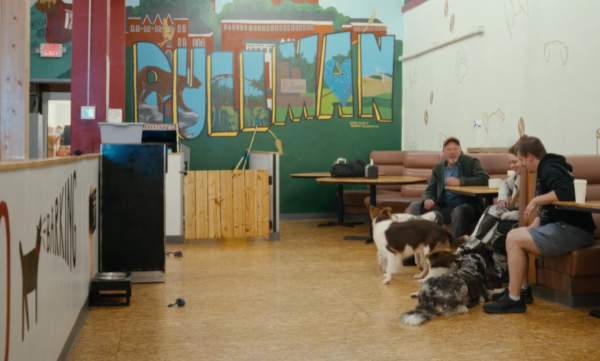 For the Love of Coffee and Dogs: Brewing Community at Pups & Cups Café | This Is Pullman