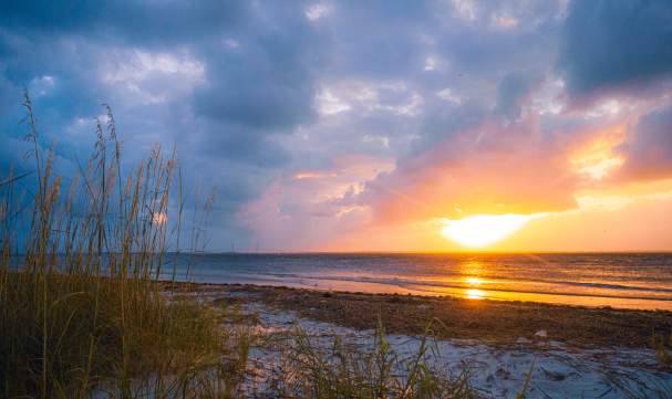 Best Beaches in the Golden Isles: A Local's Guide