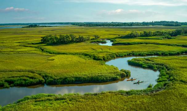 Kayaking through the marshes of the Golden Isles is a great way to experience the untouched nature and wildlife of the Georgia coast.