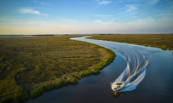 Golden Isles Boat Tours, Dolphin Tours, & Sunset Cruises