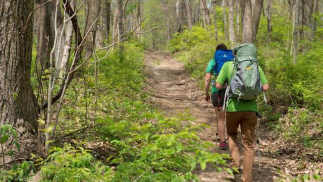 hiking trails