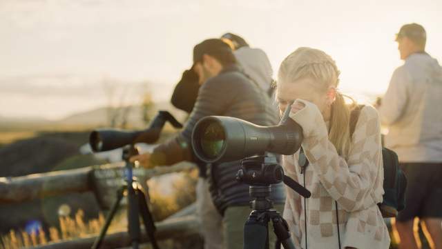 Grand Teton National Park, Jackson Hole, Family Wildlife Viewing