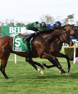 South Shore  Attractions  Belmont Stakes  A Lot.jpg