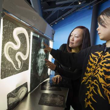 kids at an exhibit at ECHO, Leahy Center for Lake Champlain,