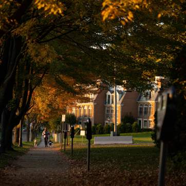 Downtown Fall Foliage