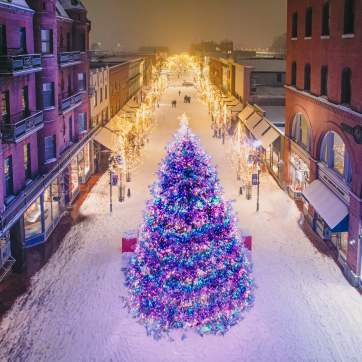 Christmas tree lights on Church Street