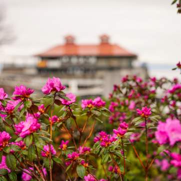 Flowers and Community Boat House - Spring