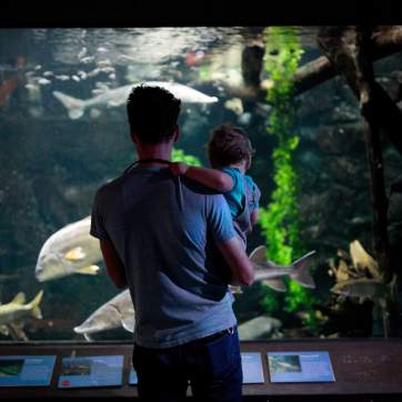 father and son at ECHO Museum