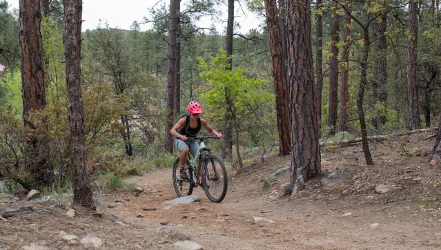 Mountain Biker in the Pines - Experience Prescott