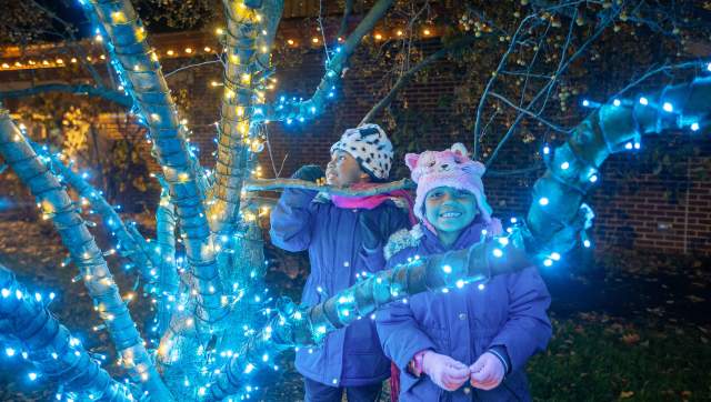 Two girls looking at bright lights on a tree