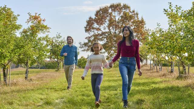 Family walking through apple orchard