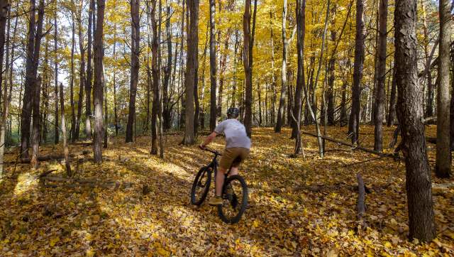 Person riding a bike on the trails in the fall