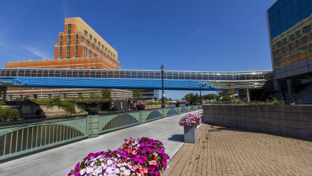 Bright flowers line the Lansing River Trail with tall buildings and the skybridge towering overhead under bright blue skies
