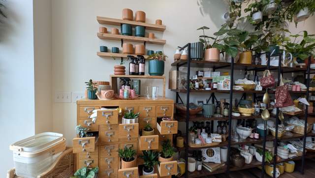 Shelves lined up in Sparrow Bloom, filled with plants, and products.