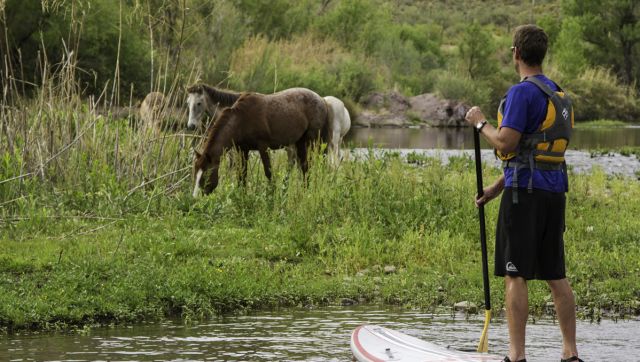 Salt River  Tubing, Wild Horses, Kayaking