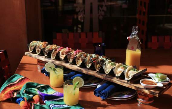 Long row of tacos on a board with two citrusy-looking drinks at Rosa Mexicano