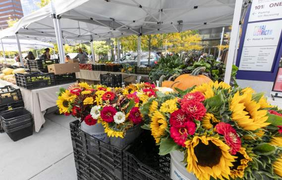 Kendall Square Farmers Market