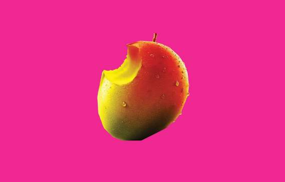Don't Eat The Mangos