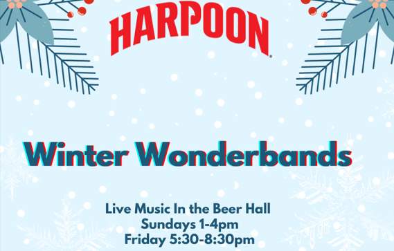 Winter Wonderbands: Live Music Sundays
