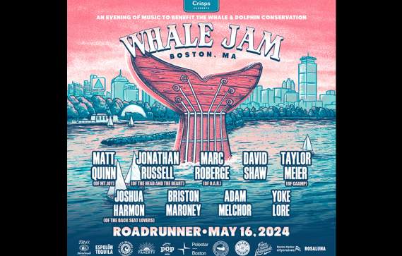Whale Jam 2024