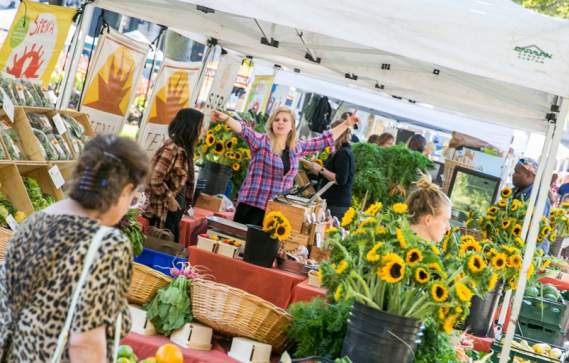 Copley Square Farmer's Market