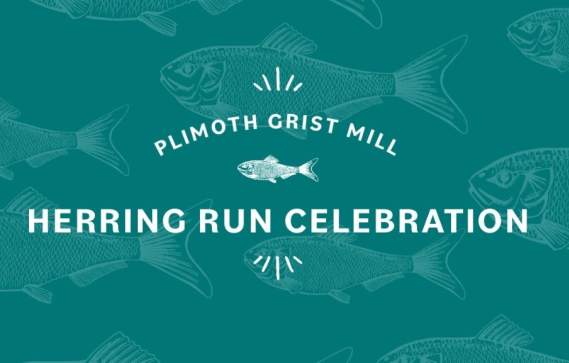 Herring Run Celebration