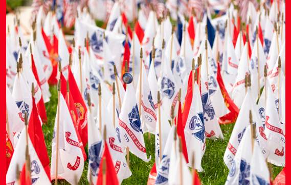 Flags for the Fallen