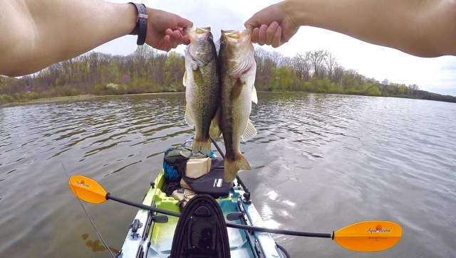 A kayaker holding up two fish on a Dayton, OH lake