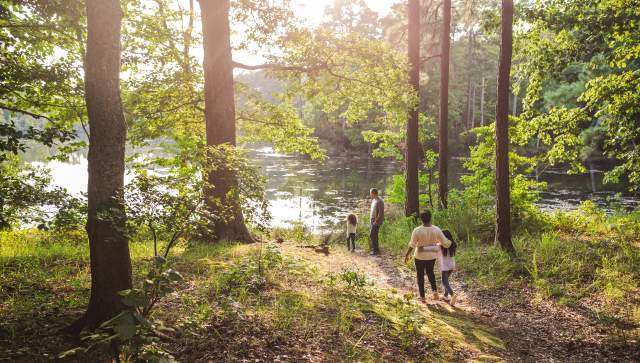 Family of 4 walking to a lake in a wooded park