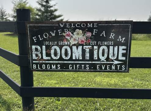 Pick Your Own Bouquet with Bloomtique Flower Farm