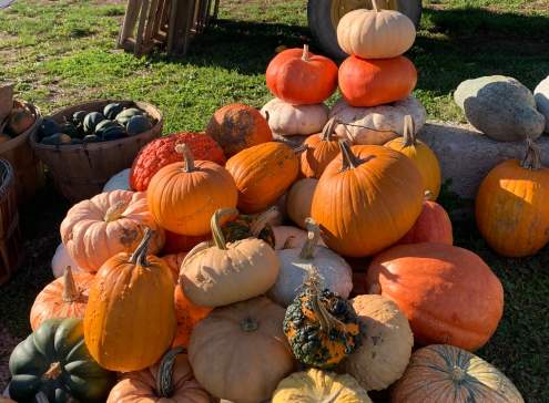 Fall Festivities in Oshkosh