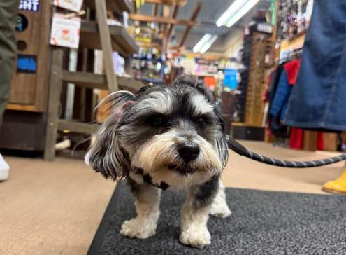 Pet-friendly Places in Oshkosh