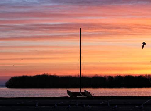 Where to Propose in Oshkosh