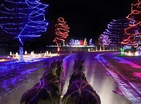 Holiday Adventures with Grandma and Grandpa