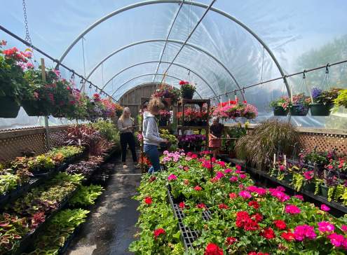 Oshkosh's Bloomin' Floral Shops & Garden Centers