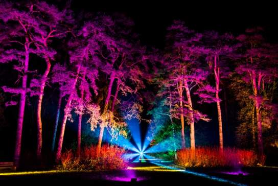 Accessible winter activities in Bristol