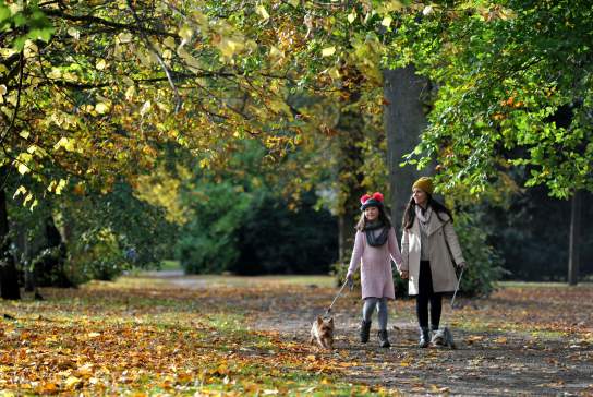 Visitors walking through Pittville Park in Cheltenham.