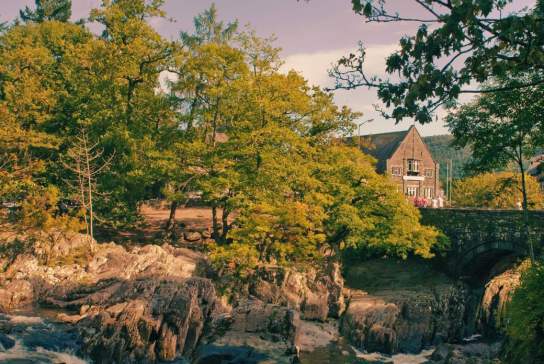 View of trees and house in Betws-y-Coed
